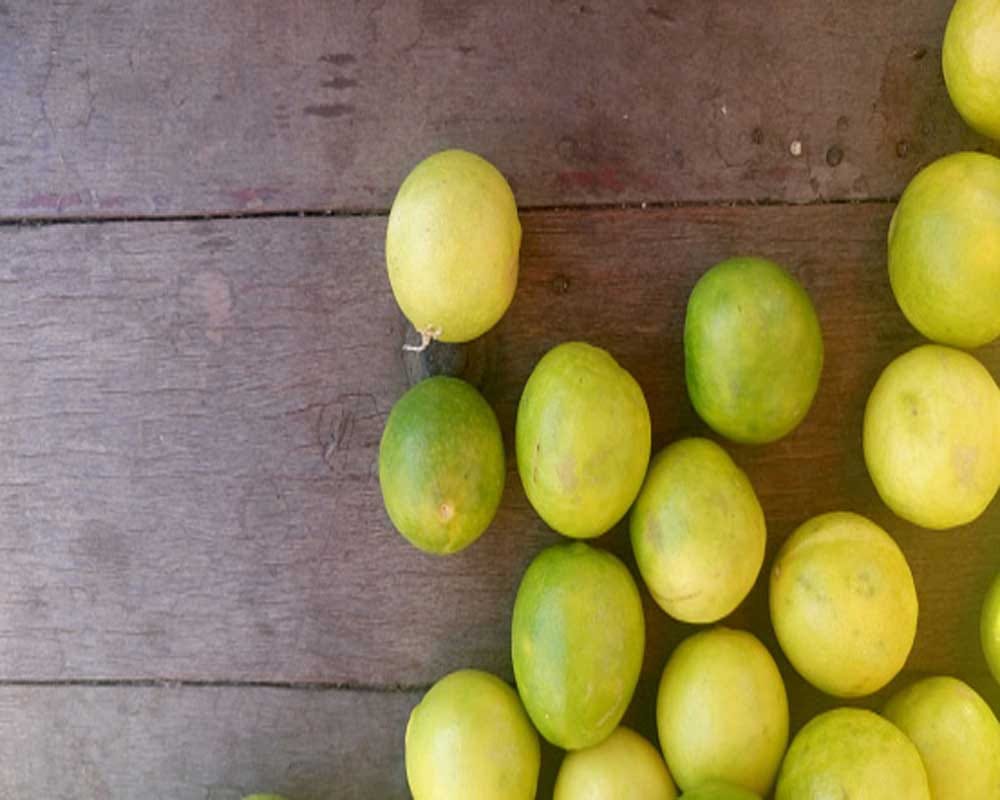 eat  this fruits in summer season for energy in hindi