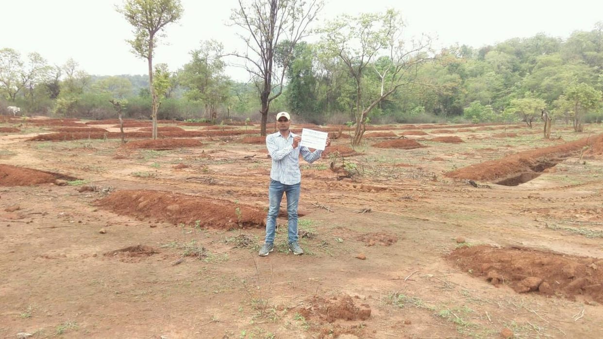  count with planting
