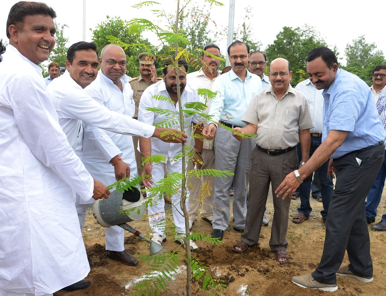 hpda five thousand plants installed.