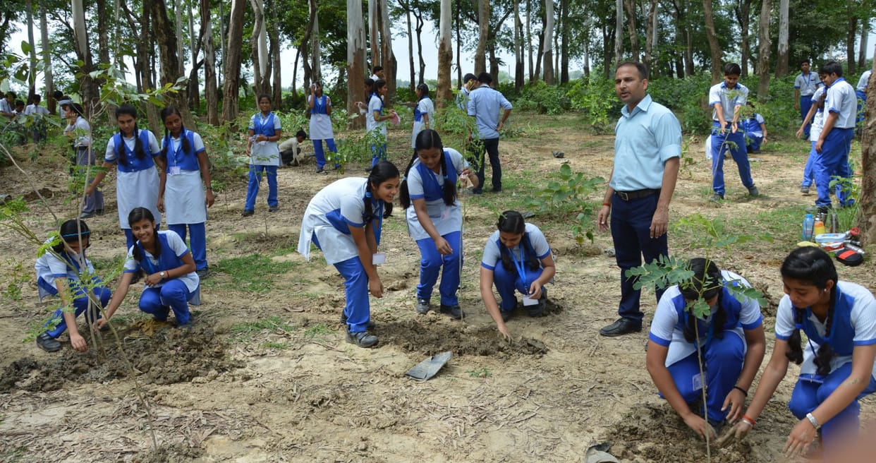 8.5 lakh sapling planted 