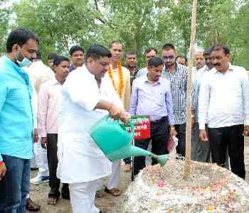 9.12 lakh saplings planted in 10 hours