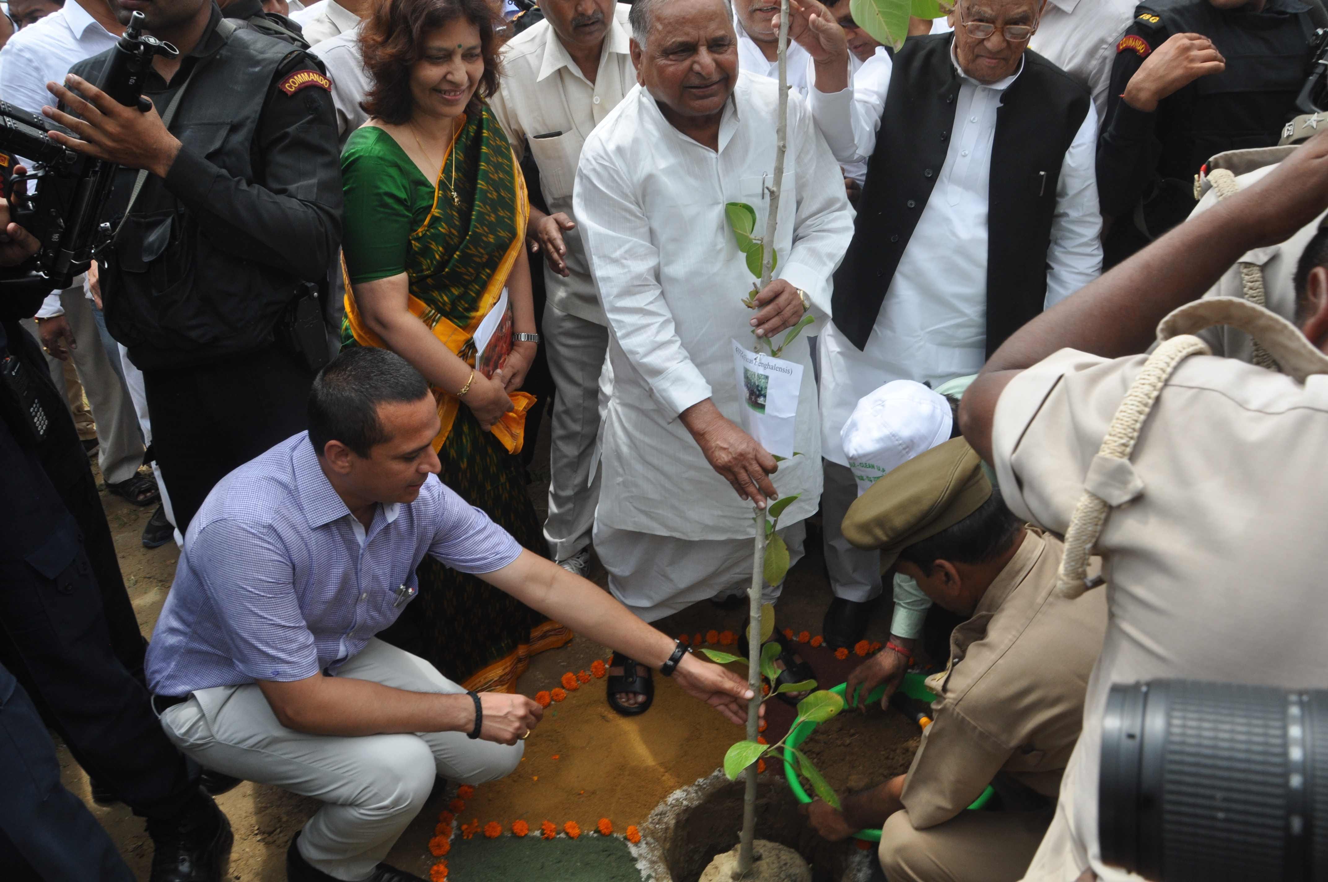 cm akhilesh plants sapling in lucknow
