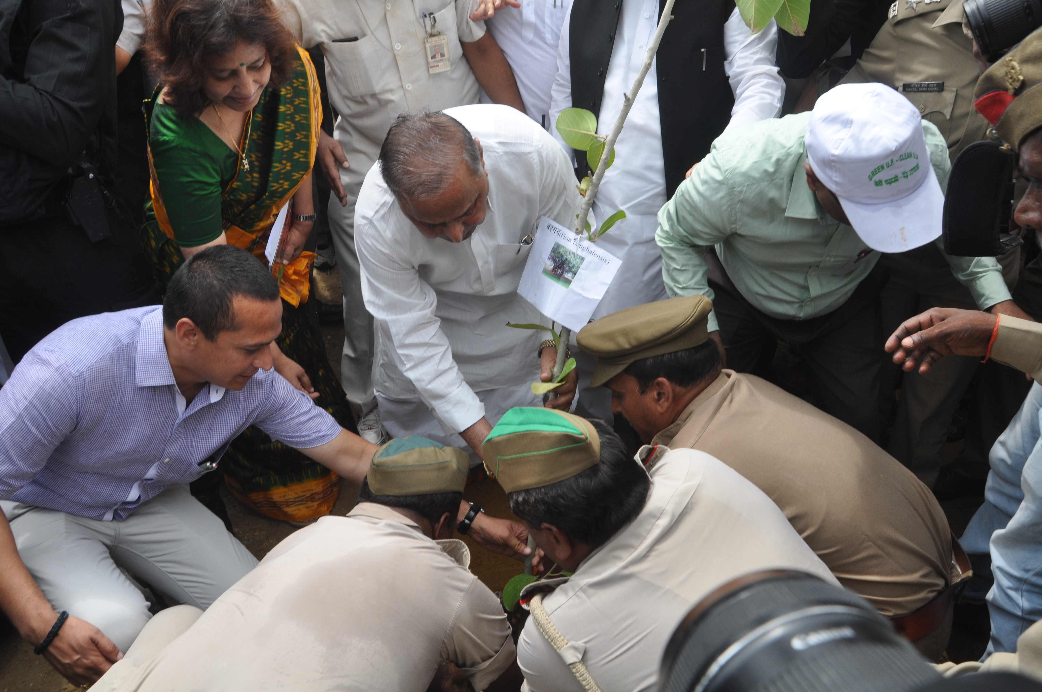 cm akhilesh plants sapling in lucknow