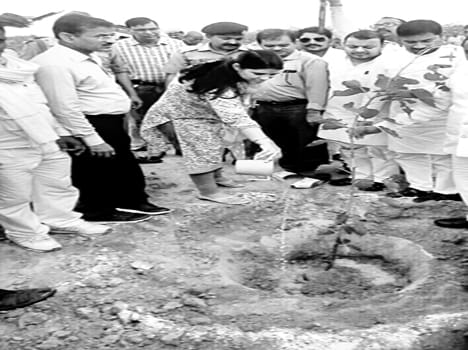 11.69 lakh saplings in 12 hours took place 86