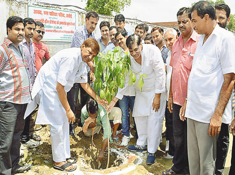 8.66 lakh plants ornament of the earth