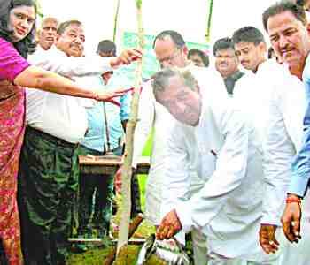 Record created planting 3.25 lakh