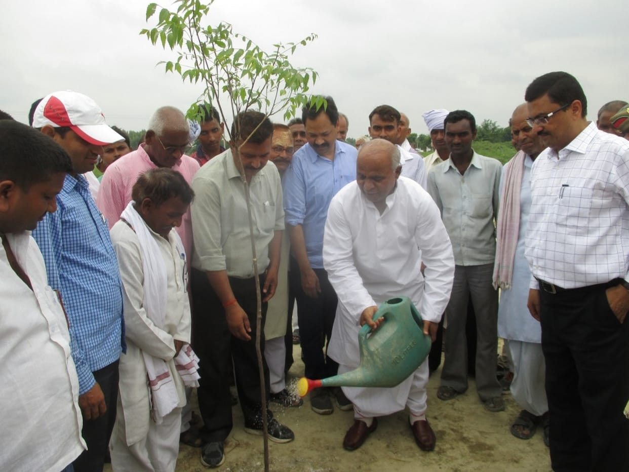  Rope district resolved to keep plants green