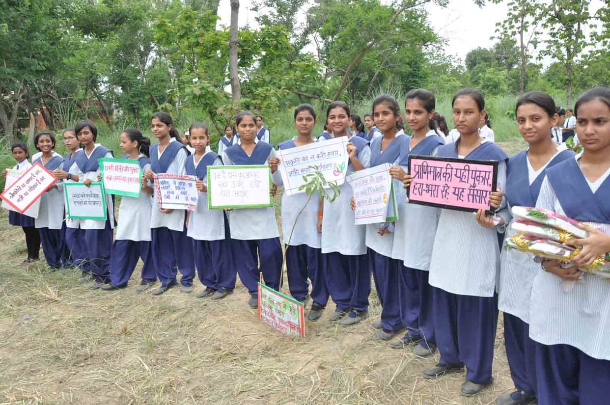 8.40 lakhs sapling rooted