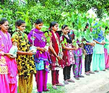 eight Lacs saplings planted in a day