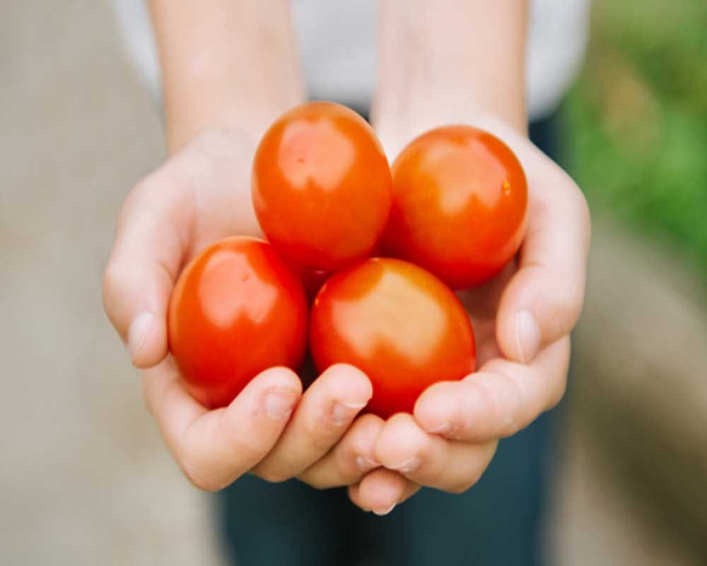 try this tomato home remedy to get rid of acne problem 