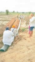 farmars, water logging, village, fatehabad, harayana