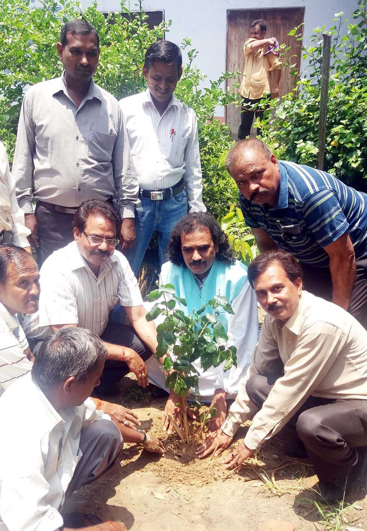 Greater participation in the world record for planting