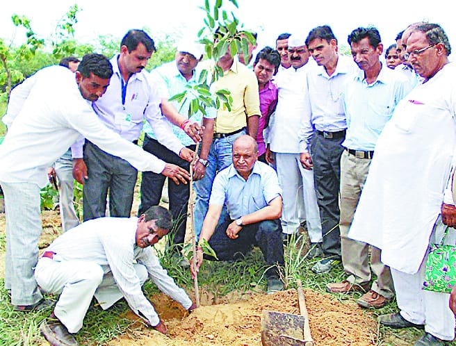 1.27 lakh saplings planted in eight hours