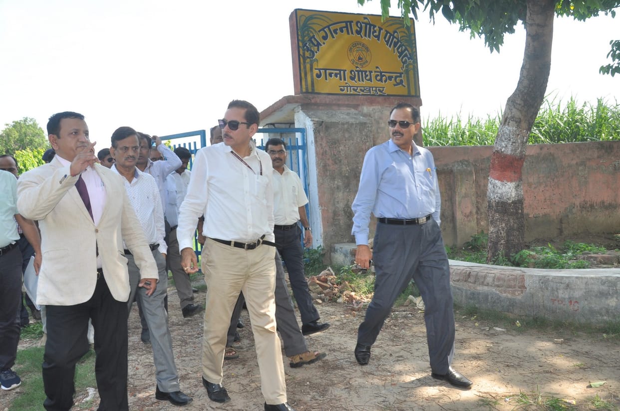 PMO says, AIIMS will build at sugarcane reserch center's land