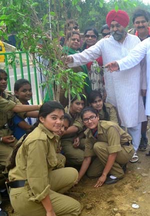  202 lakh saplings were planted in Allahabad