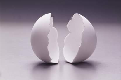 uses of egg shells in daily life