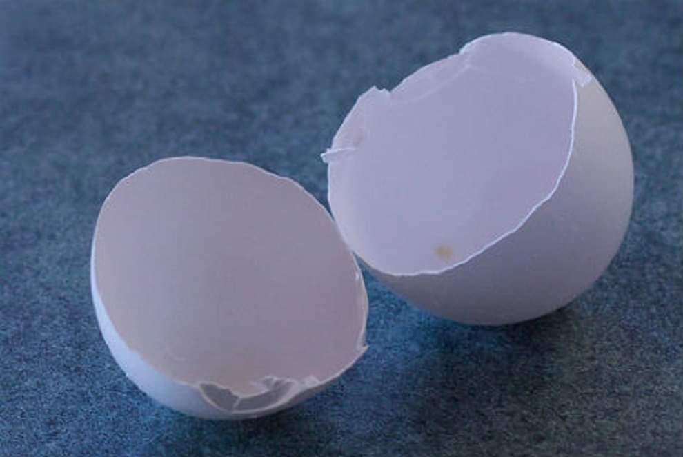 uses of egg shells in daily life