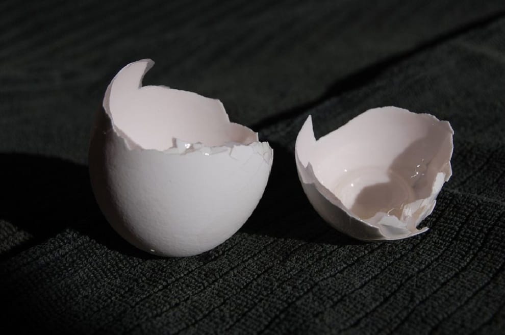 This magical use of egg shells can give you glowing white skin