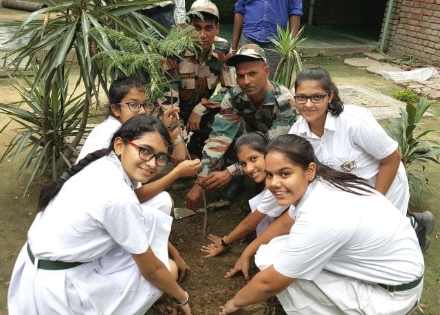 Target was completed in six hours, 80 060 saplings planted
