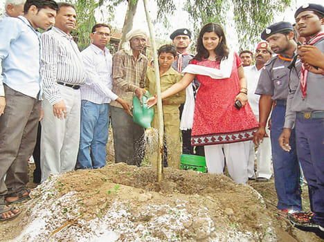 429 825 saplings planted