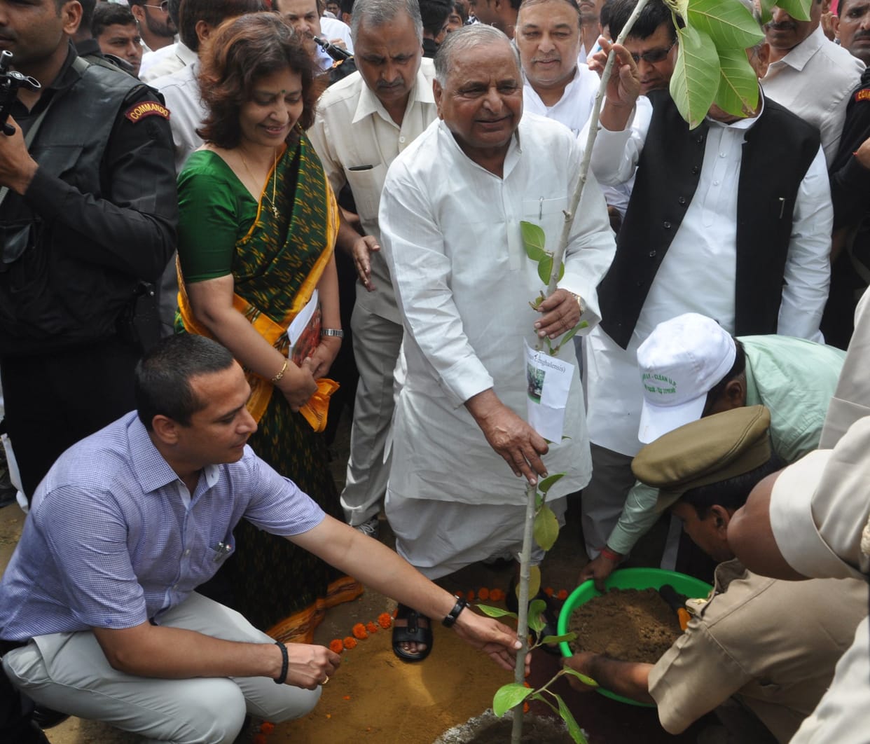  UP set up a record by planting five crores tree in a day.