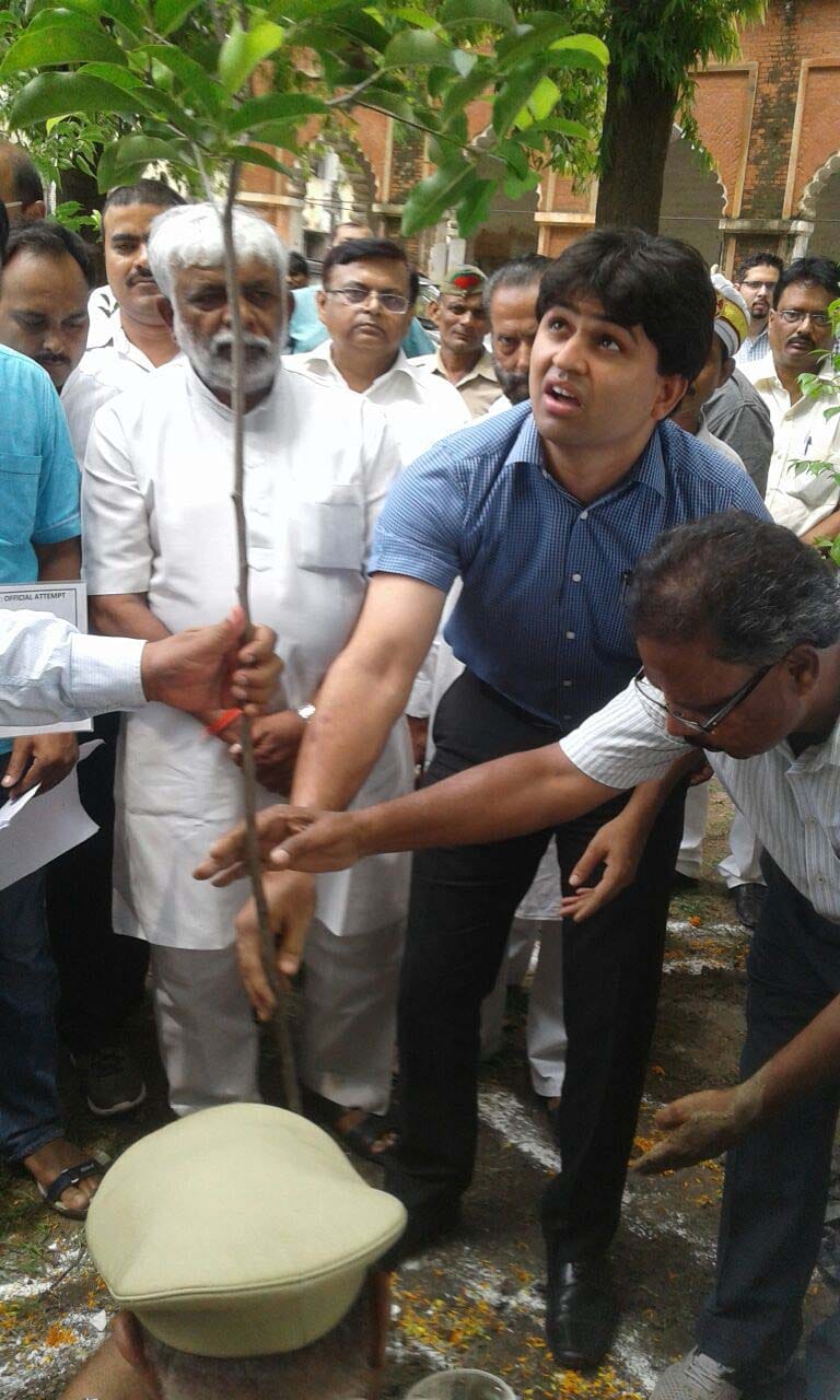 3 million trees planted greenery in varanasi