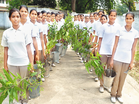 traget of plantation a challenge