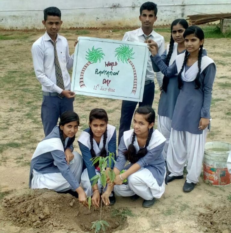 Plantation of unity presented Mishal