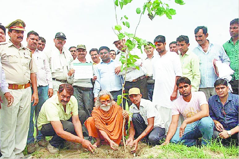 Five hundred and twenty thousand saplings planted