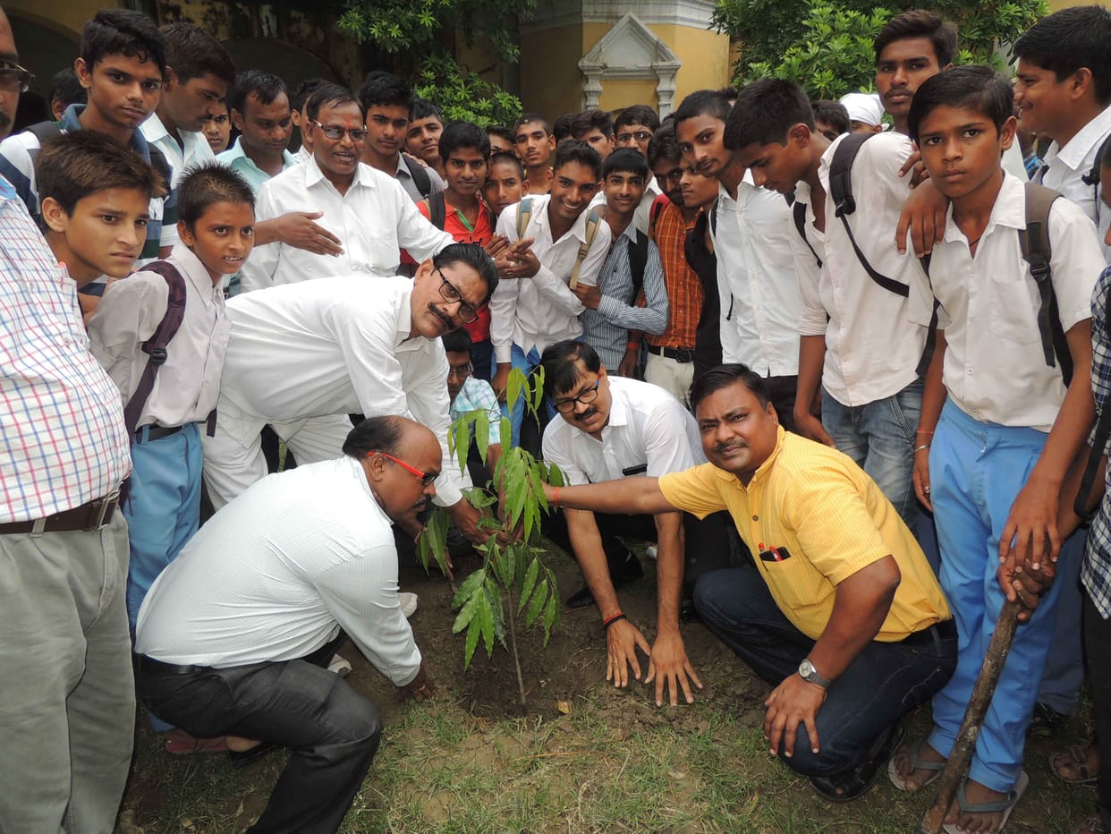 88 thousand saplings planted in nine hours