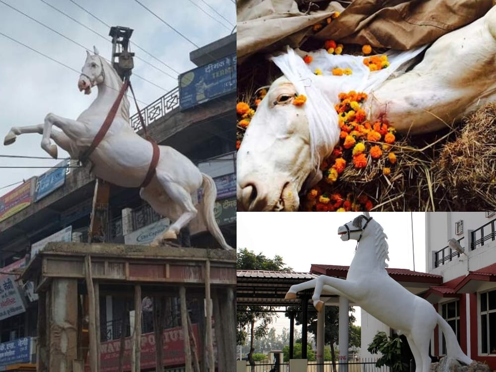 politician makes police horse shaktiman celebrity