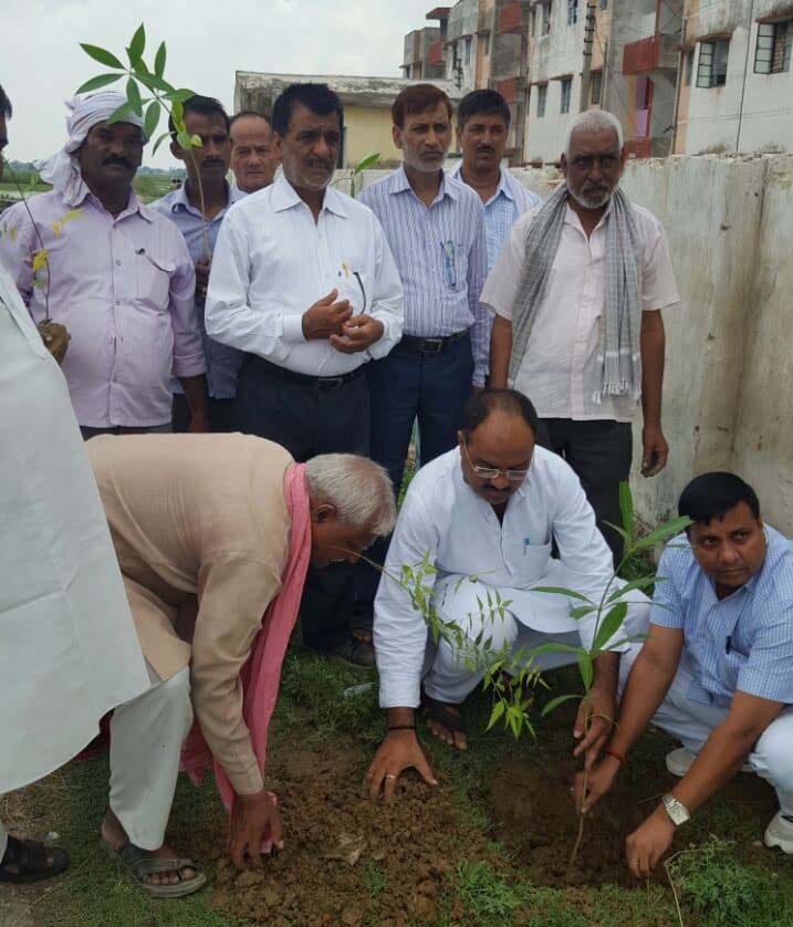 nine lakh 61 thousand saplings planted