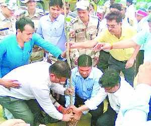 Nine laks trees planted in a day