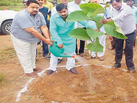 Thirteen lakhs saplings planted in six hours and a half