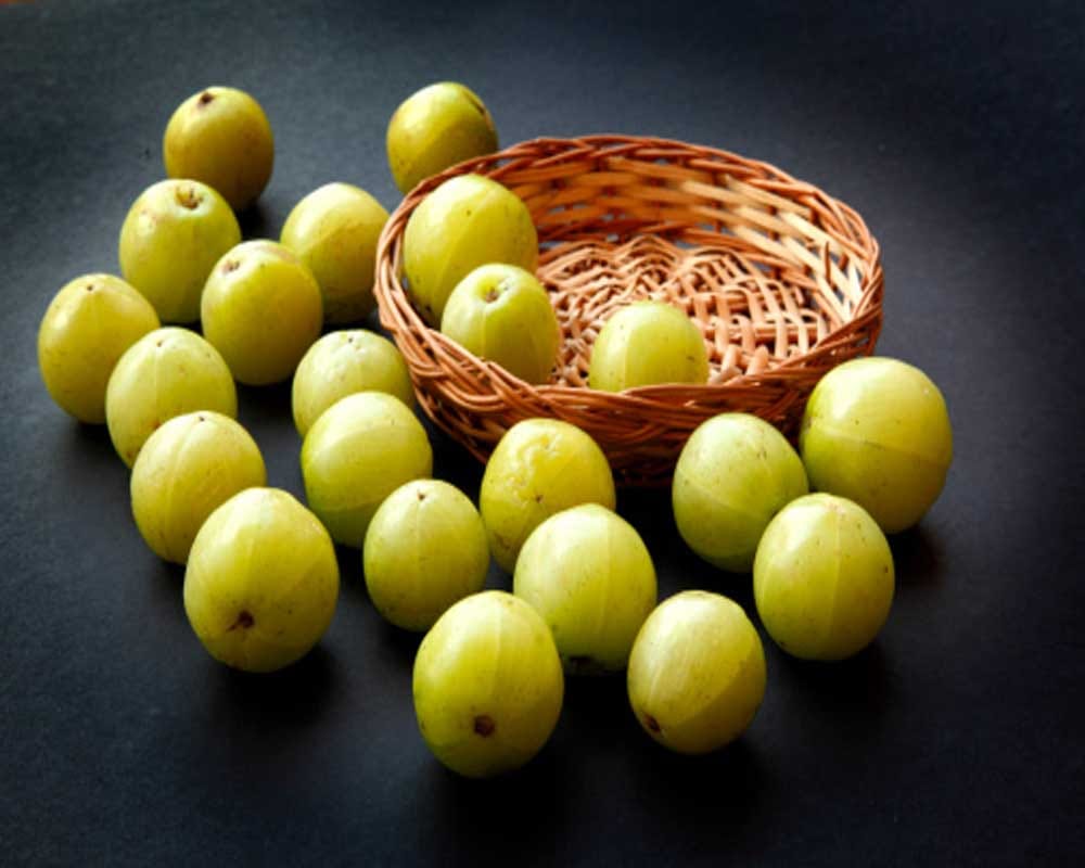 Take these measures for amla to get money
