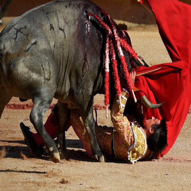 running of the bull in the san fermin festival of spain