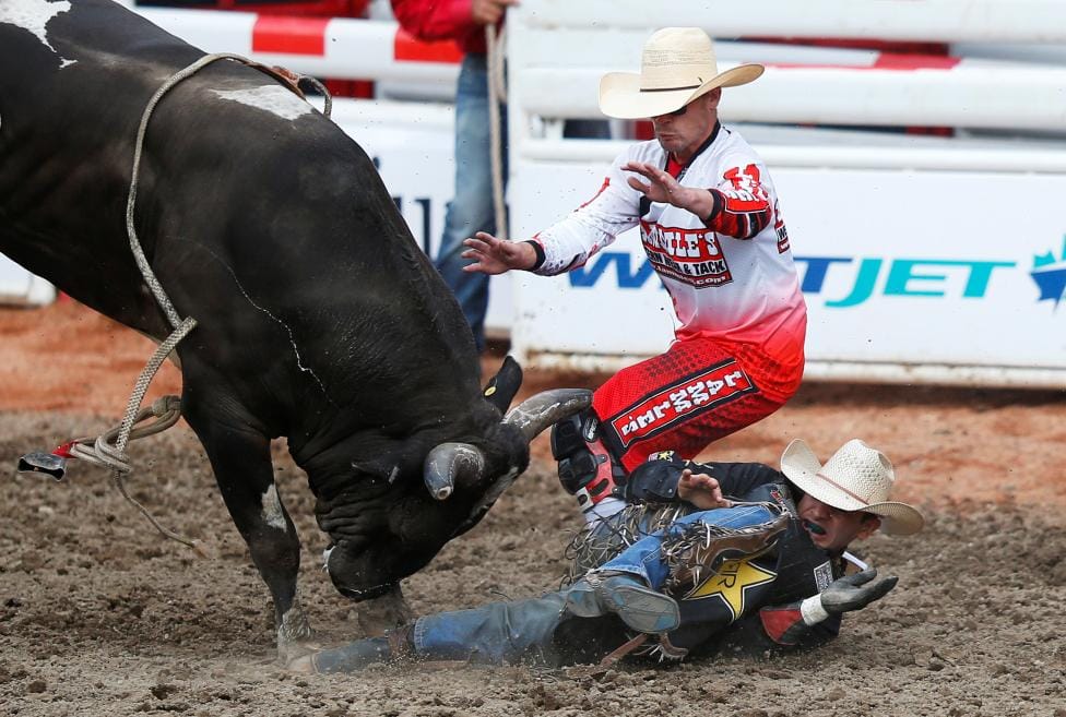 Calgary Stampede rodeo in Calgary