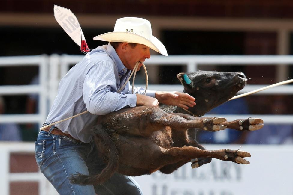 Calgary Stampede rodeo in Calgary