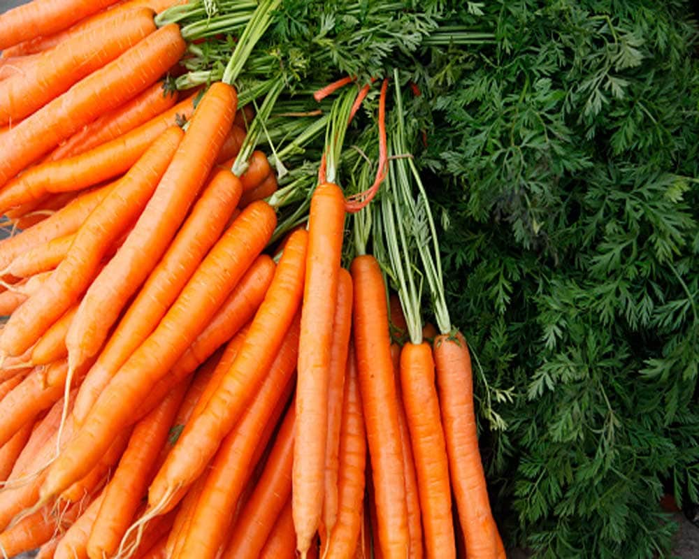 Amazing benefits of carrot for women health