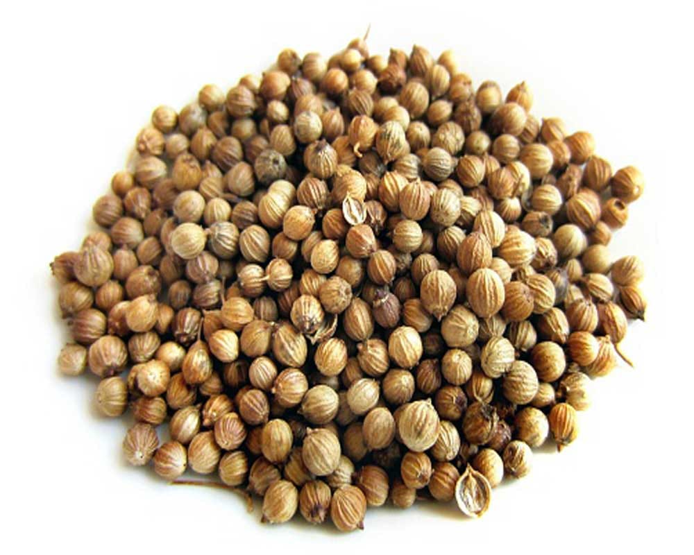 health benefits of coriander leaves and seeds