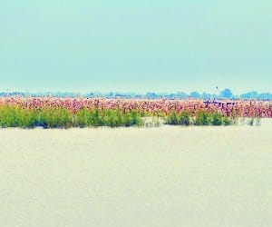 Then raise the water level of the river Sarayu
