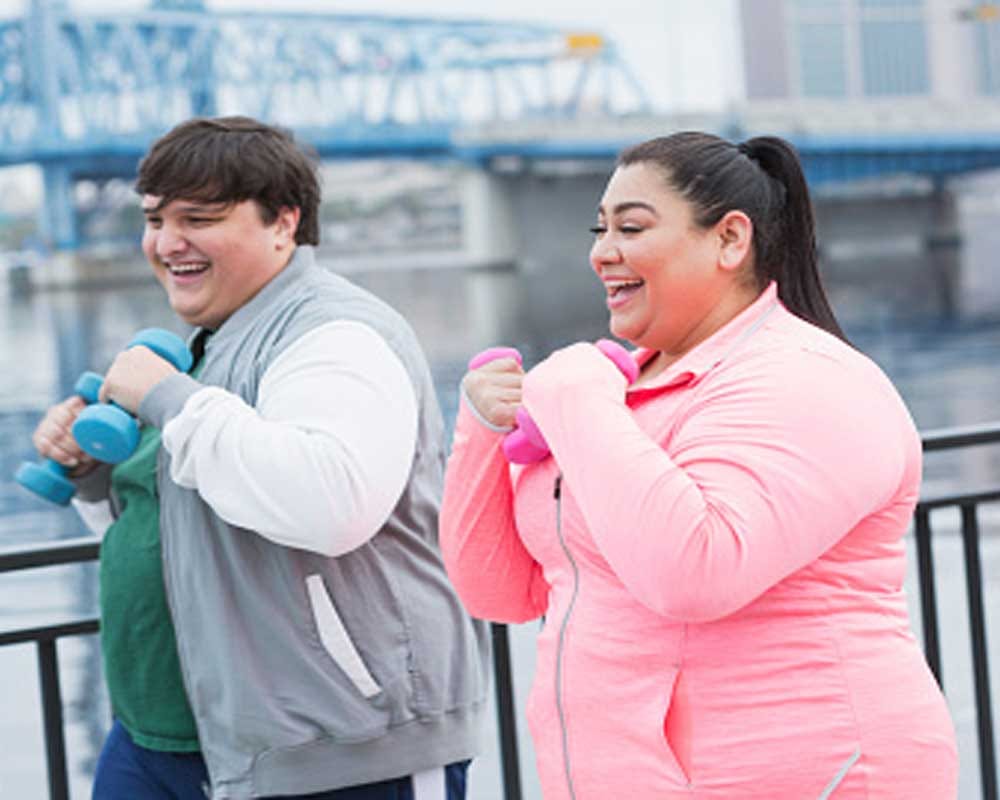 Fat people are less intelligent than people with a normal weight