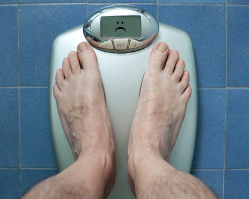 Fat people are less intelligent than people with a normal weight