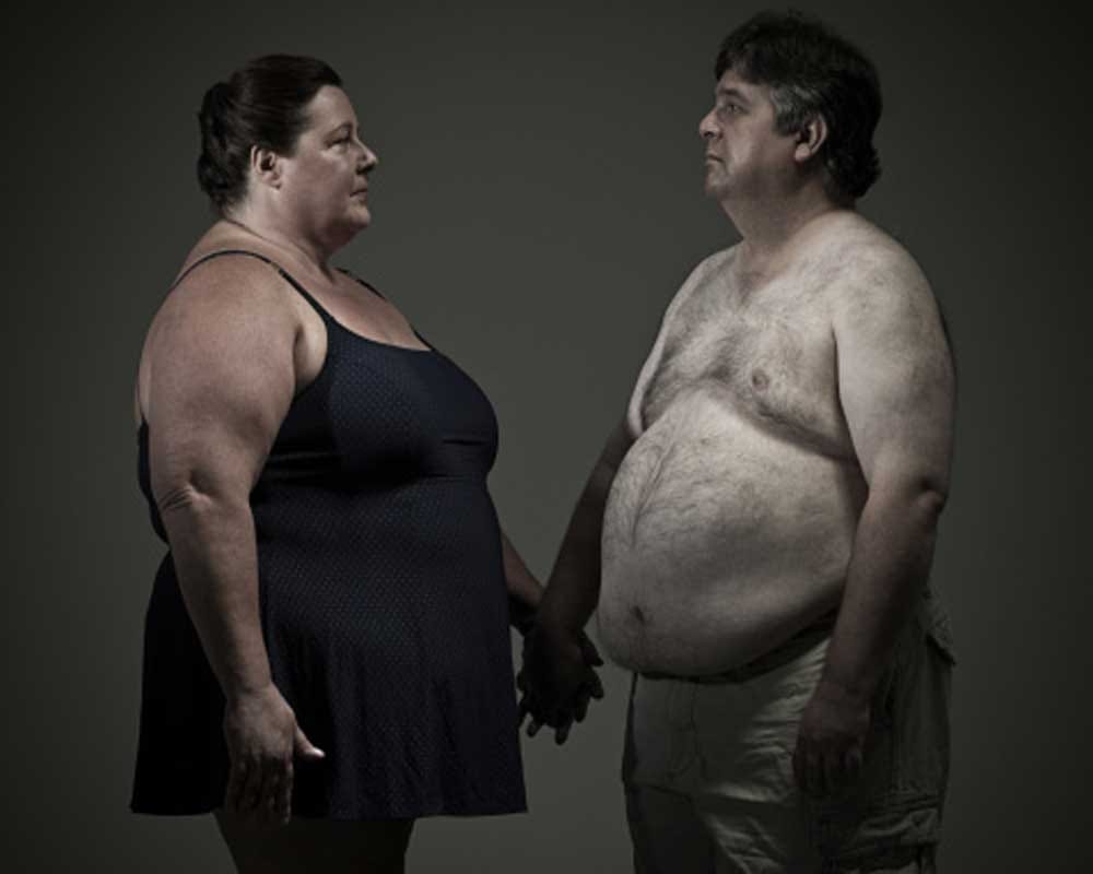 Fat people are less intelligent than people with a normal weight