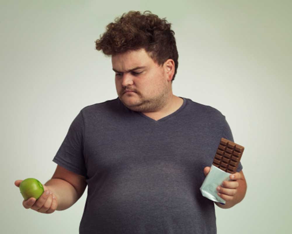 Fat people are less intelligent than people with a normal weight