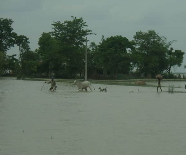 Flood in Bahraich.