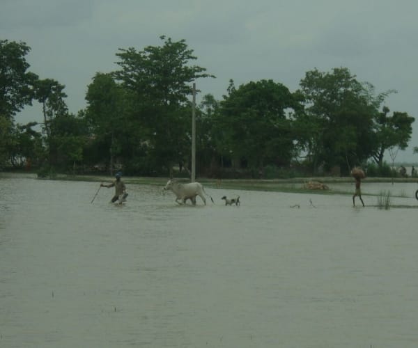 Flood in Bahraich.