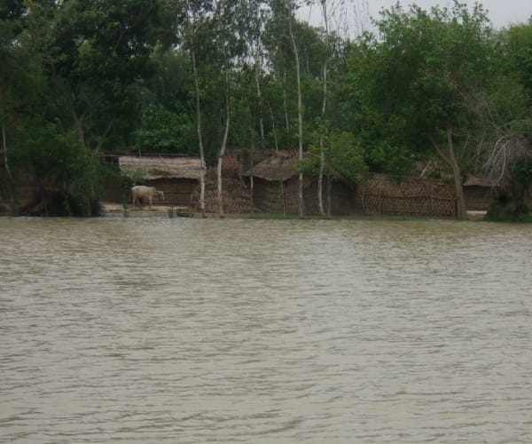 Flood in Bahraich.