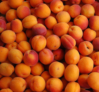  Ramgarh fruits are on demand in abroad 