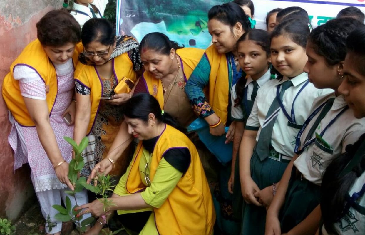 Greening the Earth Imposed for the Bootes
